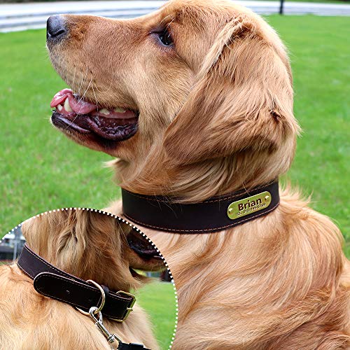 Tagme Personalized Leather Dog Collar For Extra Large Dogs,Brown Thick Genuine Leather With Engraved Nameplate #TOP5