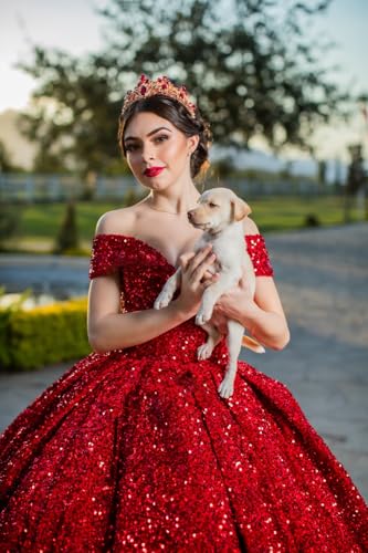 Women's Sparkly Sequin Quinceanera Dresses Off Shoulder Long Ball Gown for Birthday Party Pleated Sweet 16 Dresses4