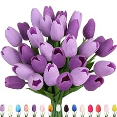 Purple, Lavender Purple