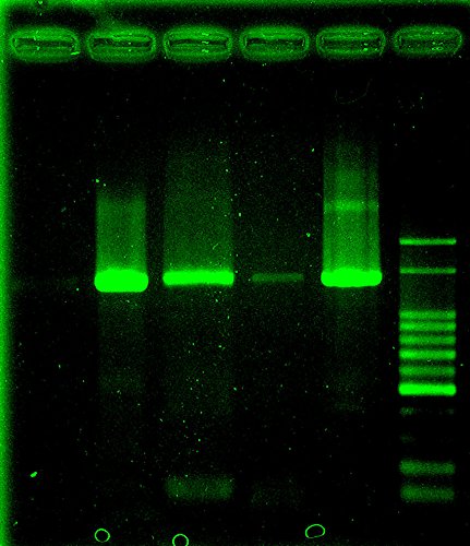 (Case of 6) Halco 81075 PAR36WFL6/827/IP67/LED