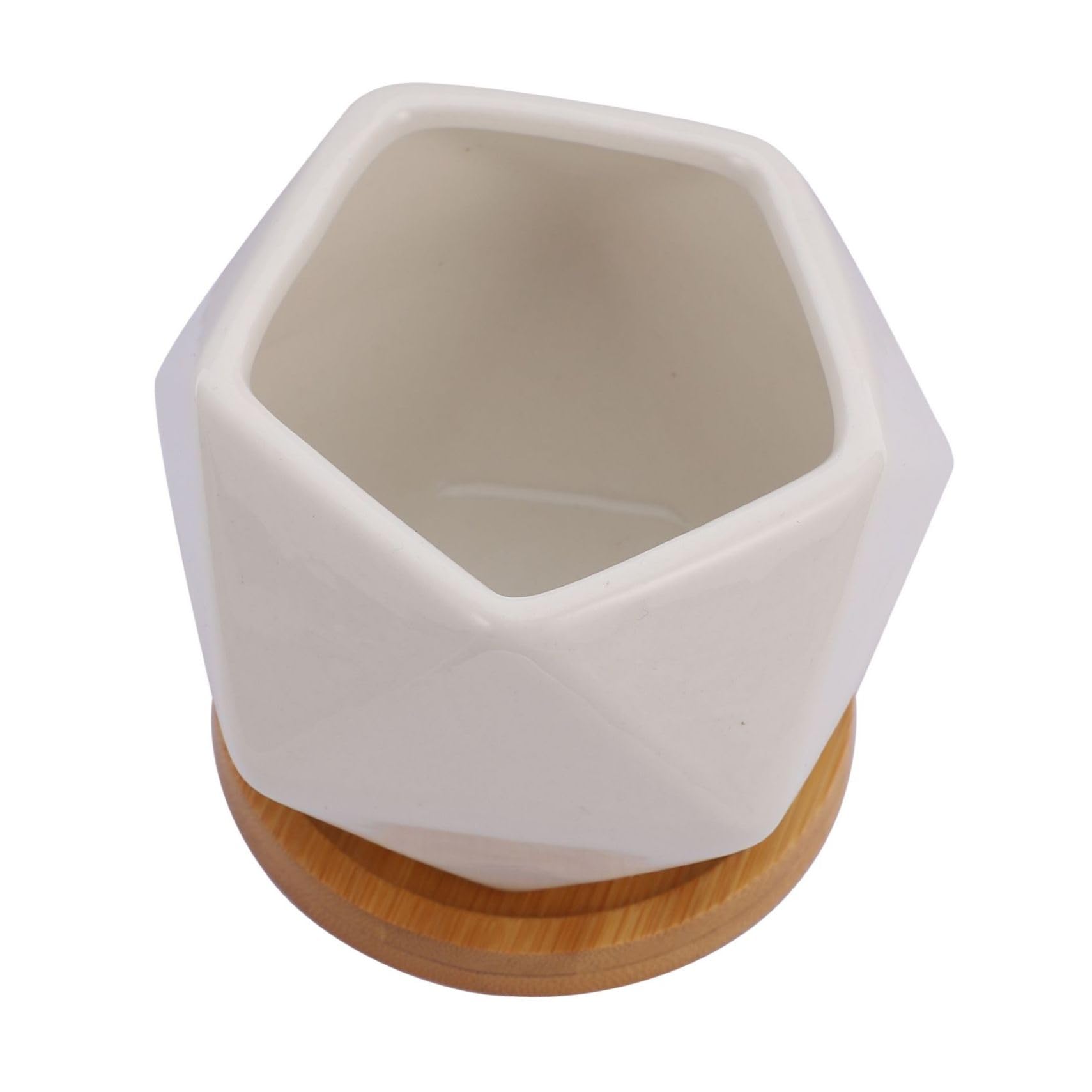 Contenant pour plantes intérieur TOYANDONA en céramique artisanale pour bonsaï