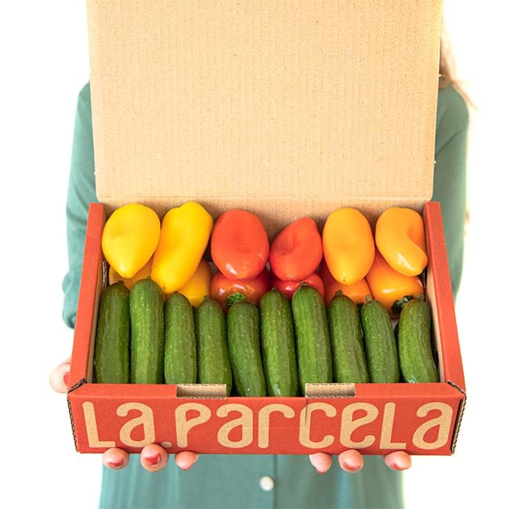 Caja Crocanti 900 g Mix de Pepino Cocktail y Minipimientos Tribelly La Parcela España Andalucía