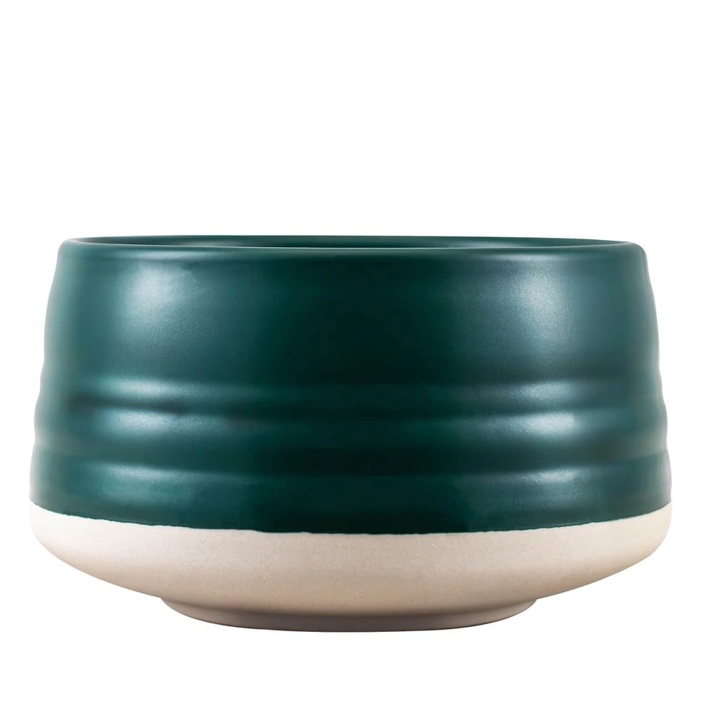 Mary Rose Matcha Set con Accessori | Mary Rose Matcha Tè Verde 100g | Matchawan | Kusenaoshi | Accessori in Bambù Chasen Chashaku