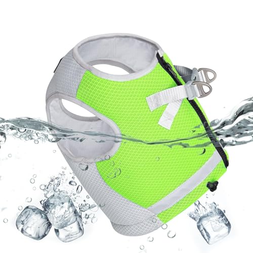 ppxXg | 3wpnppn[lX - Ŝ߂̔˃Xgbv̉Kȃn[lXAg[jOAX|[cp̒߉\ȃobNtqpxXg