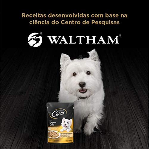 Pack Ração Úmida Cesar Sachê Cortes Selecionados Frango Marinado ao Molho Para Cães Adultos 85 g - 4