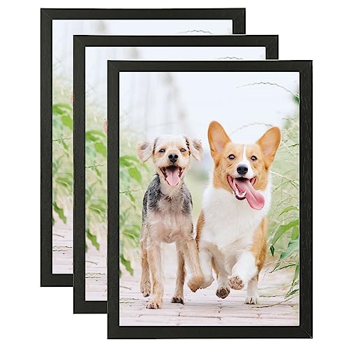 A5 Black Wood Photo Frame,3 Pack-15x21cm Picture Plexi-Glass,Certificate Frame for Wall Mount or Table Top Display,Set of 3