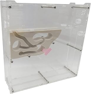 Amazon Co Jp 昆虫採集セット Amazon Co Jp 昆虫採集セット