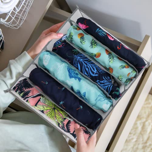 5 Pcs Wardrobe Clothes Organizer Portable Clothes Storage Baskets, Jeans Leggings Compartment Clothing Organizer, Folding Drawer Mesh Separation Organizer,Storage Bins Bedroom Foldable Closet Drawer #TOP6