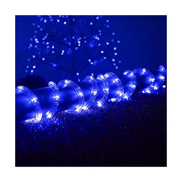 Dingfu 33ft led rope lights,110v 2 wire connectable christmas rope lights,240 led,waterproof indoor outdoor clear tube light rope for deck, patio, pool, camping, landscape lighting decorations - image 6
