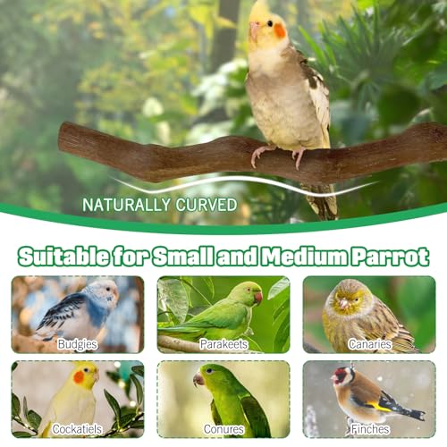 Image of Hamiledyi 10 PCS Natural Wood Bird Perches for Cage Parakeet Stand Bird Cage Accessories Parrot Perch Branch Paw Grinding Fork Parakeet Platform for Small and Medium Sized Birds Budgie Cockatiel