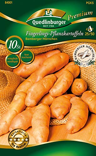 Quedlinburger 84001 Kartoffel Bamberger Hörnchen (10 Stück) (gelb festkochend mittelfrüh/mittelspät) (Pflanzkartoffeln)