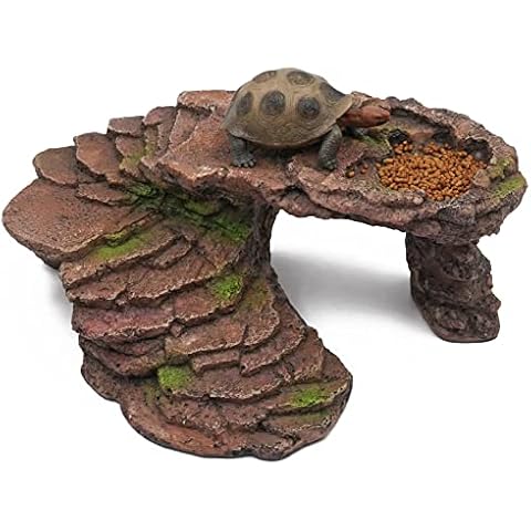 Plataforma Tortugas de Agua Svauoumu Cover