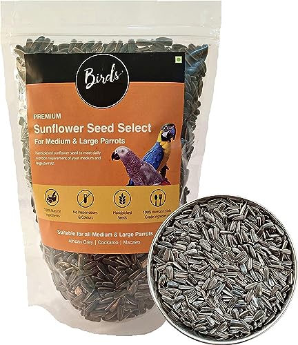 CybeXis Sunflower Seeds for Adult and Young Birds Nuts-[1Kg]