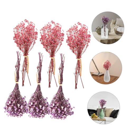 Ramo de 6 flores secas Gatuida para decoración miniatura 5