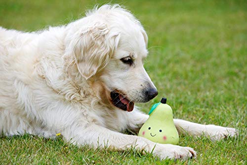 Petface Hundespielzeug aus Latex, Birne, weich, klein