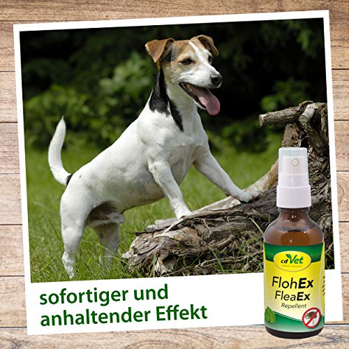 cdVet FlohEx Repellent Spray 100 ml - Effektiver Sofortschutz gegen Flöhe und Insekten