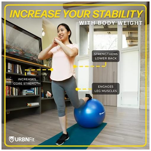 Exercise Ball (65 CM) for Stability & Yoga - Workout Guide Incuded - Professional Quality (Blue) - Image 4
