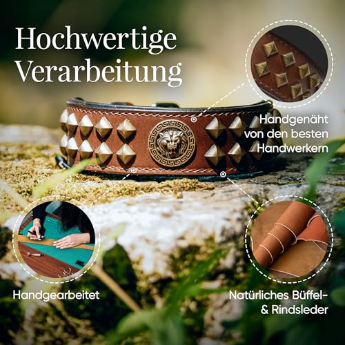 MICHUR Diego Braun 1. Wahl !! Hundehalsband Leder Lederhalsband Hund Halsband Löwenkopf Nieten Messing Optik Braun Gold