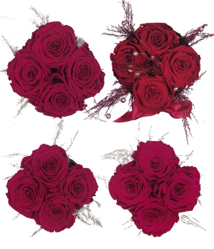 Beyond Flowerbox, Rosenbox, 4 Echte Infinity Rosen, Blumenbox, Bis 3 Jahre Haltbar, Handgefertigt, Rund, Weiße Box mit Konservierten Rosen und Pampasgras, Rot, ohne Text - Image 5
