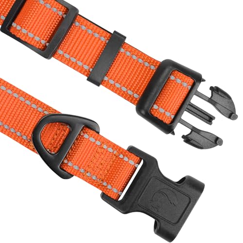 Joytale Halsband Hund, Gepolstertes Hundehalsband Breit aus Neopren Nylon Hundehalsband Verstellbar für Mittelgroße Hunde, Weich und Reflektierend Hundehalsbänder, M, Orange