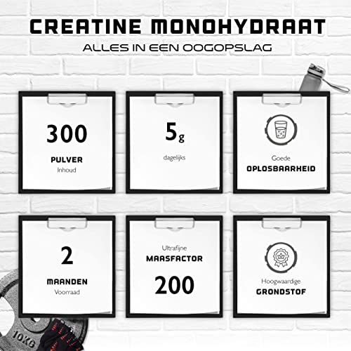 Creatine Poeder - 300 g - Puur Creatine Monohydraat - Optimale oplosbaarheid - Veganistisch - Zonder toevoegingen - Puur… - Image 3