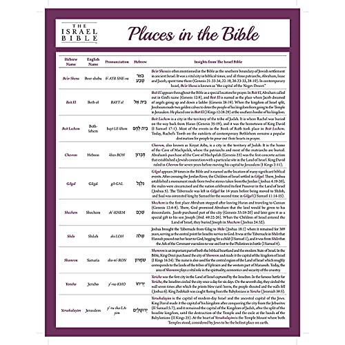 Places in The Bible Laminated Sheet - The Israel Bible Study Guide Series