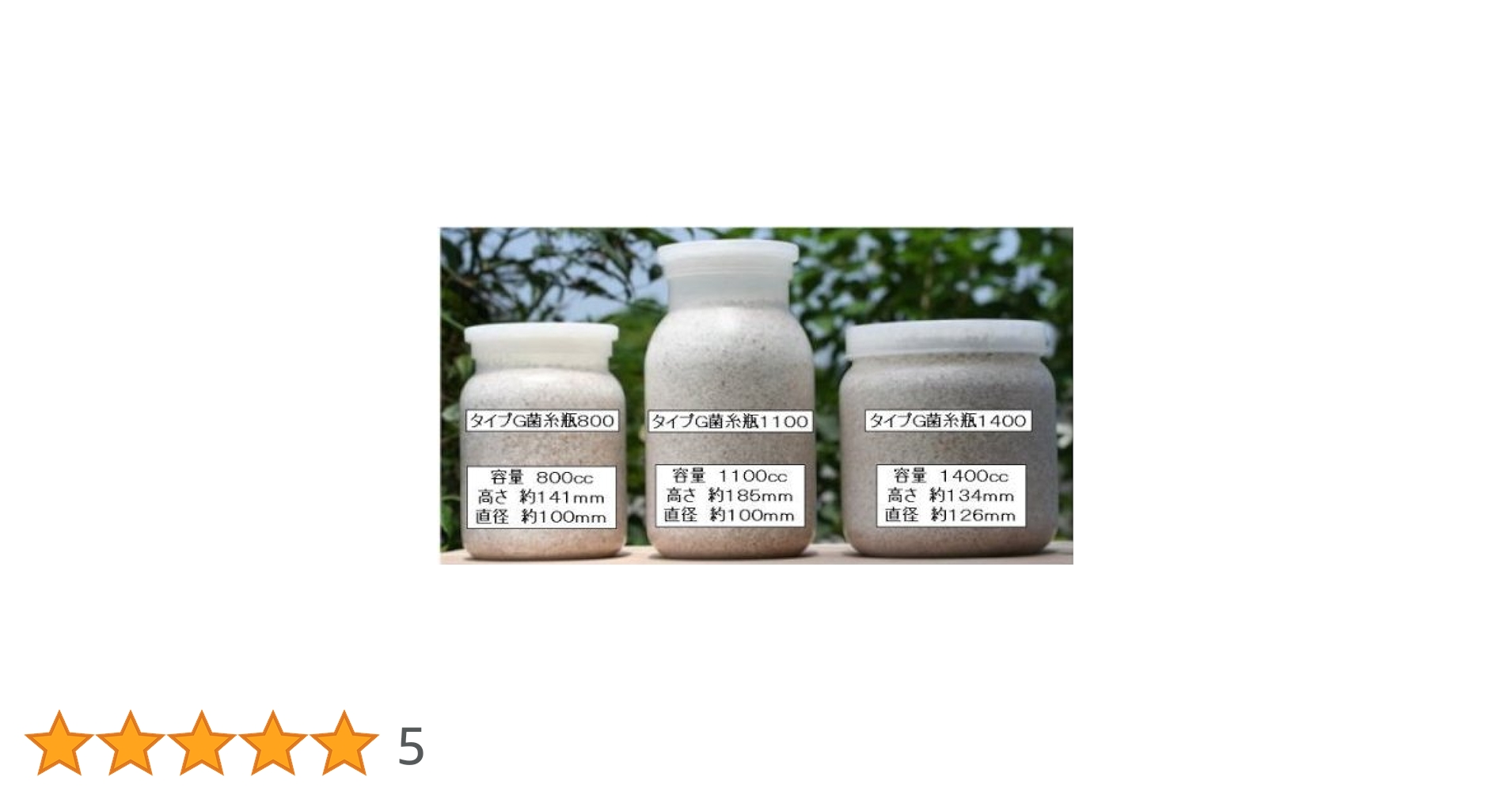 51x5L0cZBxL.jpg_BO30,255,255,