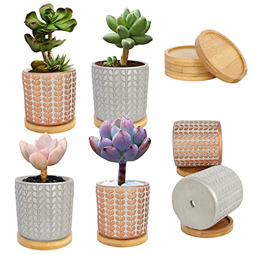 Ebingoo 4 pcs Succulent Pots with Drainage Hole 3 Inch Small Cement Pots for Succulents Planter Pots with Bamboo Tray Silver Red Wheat Cactus Pots Indoor Plant Pots for Garden (Plants Not Included)