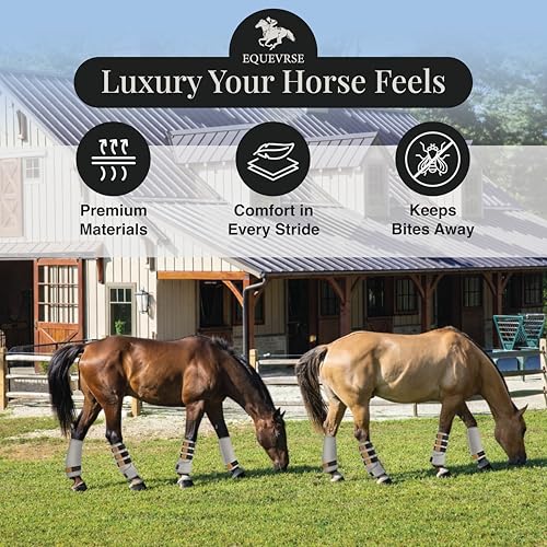 Image of Premium Horse Fly Boots for Horses Set of 4 Protective and Comfortable Fly Boots for Large Breeds Soft Polyester Bamboo Lining Adjustable Horse Leg Wraps (4 Pack)
