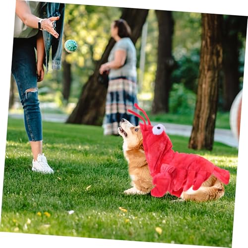 Disfraz de langosta para perros XS rojo miniatura 7