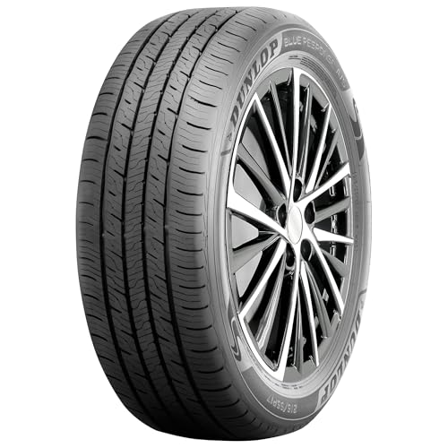 Dunlop Blue Response A/S Tire