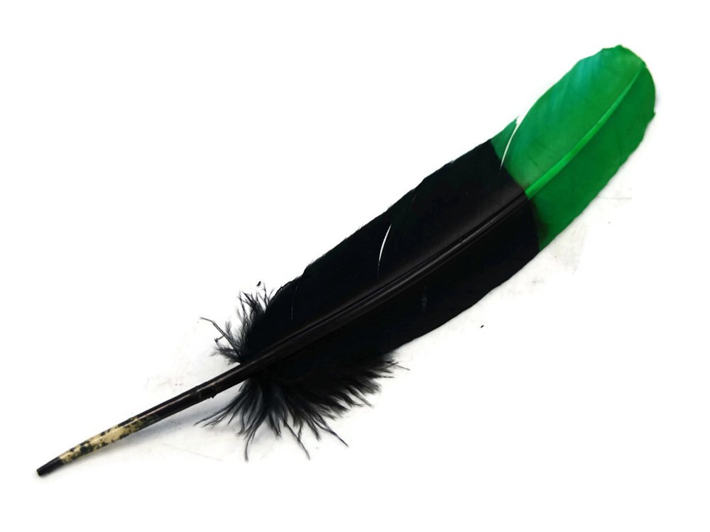 50 Yellow Parrot and Macaw Feathers 1/4 inch to 2 inches Choose Your Size! (Under 1 inch)