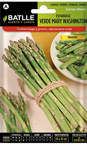 Semillas Hortícolas - Espárrago Mary Washington - Batlle