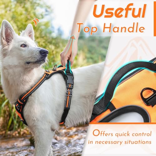 Image of Eagloo Dog Harness for Small Dogs, No Pull Pet Vest with 2 Leash Clips