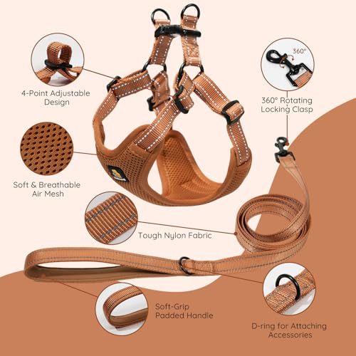BELLA & PAL Hundegeschirr und Leine Set, Step-in Design mit atmungsaktivem Air-Mesh, reflektierenden Streifen, verstellbar für XS/kleine/mittelgroße Hunde, sicherer Schnallenverschluss