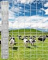 Farm Fence, 4Ft x 328Ft Galvanized Wire Fencing, Goat Cattle Deer Livestock Fence, Heavy Zinc Goat Fences for Goat Deer Yard Livestock Protection