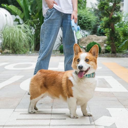 Ausziehbare Hundeleine, verlängerbare Hundeleine mit LED Haustier-Einziehleine mit rutschfestem Griff, abnehmbarer Kotbeutelhalter für kleine bis mittelgroße Hunde bis zu 25 kg mit rutschfestem Griff