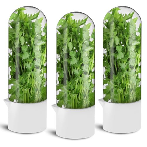 3 Pack Herb Saver for Refrigerator Large Fresh Herb Keeper Cilantro Container for Refrigerator Vegetable Preservation Container for Cilantro Asparagus Mint Rosemary Parsley Basil for 2-3 Weeks