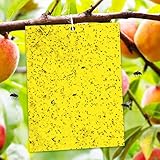 Phantasy® Fliegenfalle Gelbsticker 20 * 15cm, 20PCS Hängende Fliegenfänger Obstfliegenfalle Gegen Trauermücken Hochwirksame und Ökologische Gelbtafeln für die Zimmerpflanzen Schädlingsbekämpfung