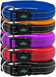 Padded Dog Collar, UK Brand, Adjustable, Reflective, Ultra Soft Breathable Neoprene padding. 4 sizes, 5 colours, Premium X-Strong Nylon, plus Safety Buckle. Odour Resistant & Fast Drying