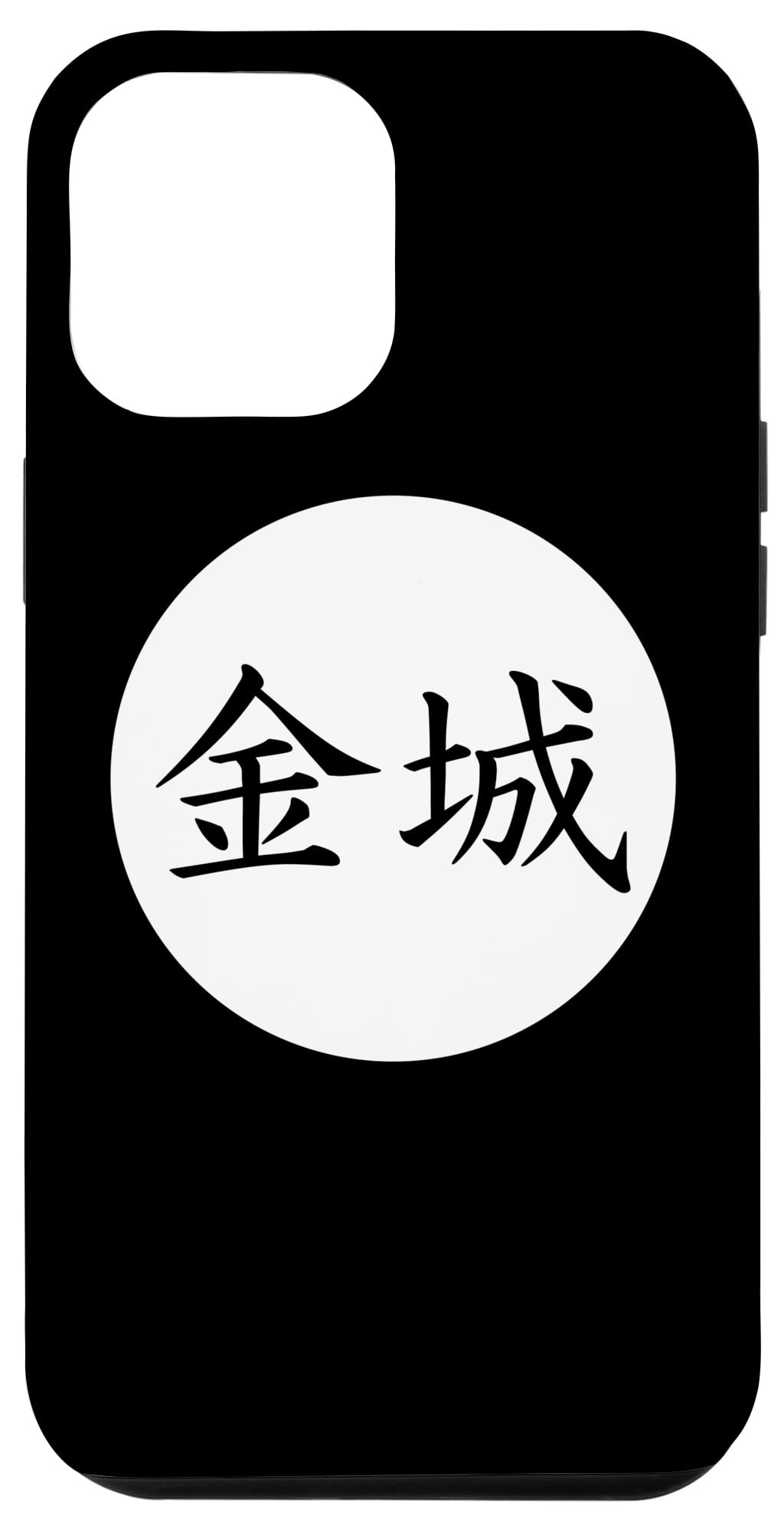 iPhone - ★kin8009"s shop★ Amazon.com: iPhone 12 Pro Max Kinjo Japanese Kanji family