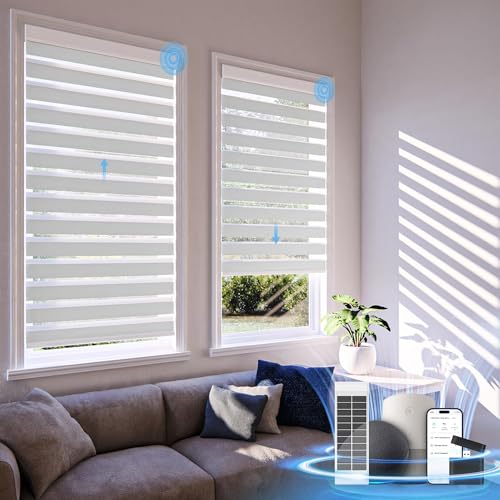 DONGFXK Motorized Zebra Blinds with Remote,Rechargeable Smart Electric Cordless Shade，White...