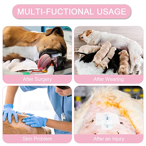 Image of Dog Surgery Suit Female Spay Recovery Suit for Dogs Surgical Recovery Suit for Female Dog Neuter Suit Male Dogs Onesie for Surgery Fits Small Medium Dog
