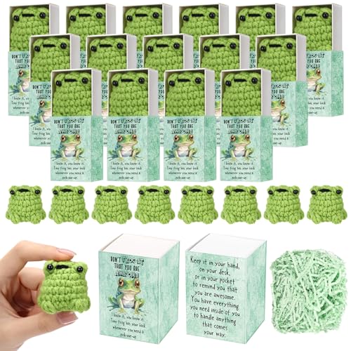 Wettarn 36 Sets Frog Pocket Hug Token Gifts Bulk Crocheted Frog with Box