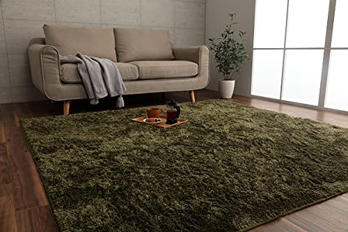 イケヒコ・コーポレーション ラグ カーペット マット ルフォン 約200×250cm グリーン オールシーズン シンプル 制菌加工 #3985179