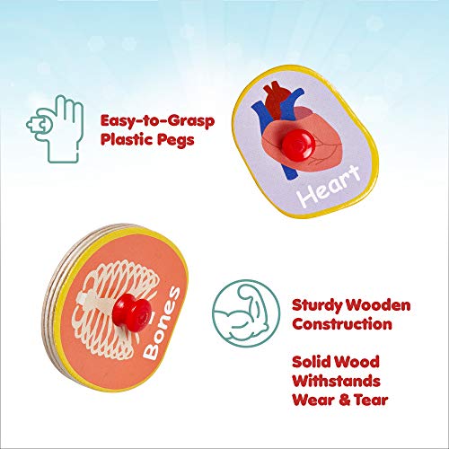 Wooden Peg Puzzle, My Body - Inside - Learning Educational Pegged Puzzle for Toddler & Kids (11 pcs) Gleeporte - Thumbnail 4