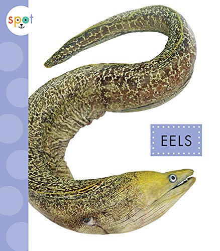 Eels 1645491102 Book Cover