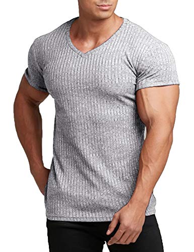 COOFANDY Men's Muscle T Shirts Stretch Short Sleeve V Neck Bodybuilding Workout Tee Shirts Grey