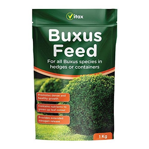 Preisvergleich Produktbild Vitax Buxus Feed 1kg
