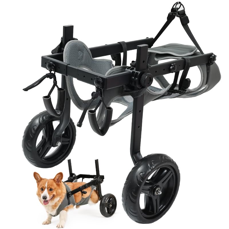 Chaise à roulettes légère pour chien, chariot pour animaux de compagnie réglable pour pattes arrière, chariot d'aide à la mobilité du chien avec roues pour chiots blessés avec14-20KG (L)